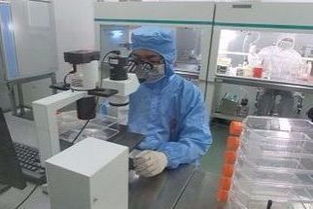 擬核與細胞核的區(qū)別及其在技術服務中的應用